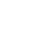 35+ Years of Experience